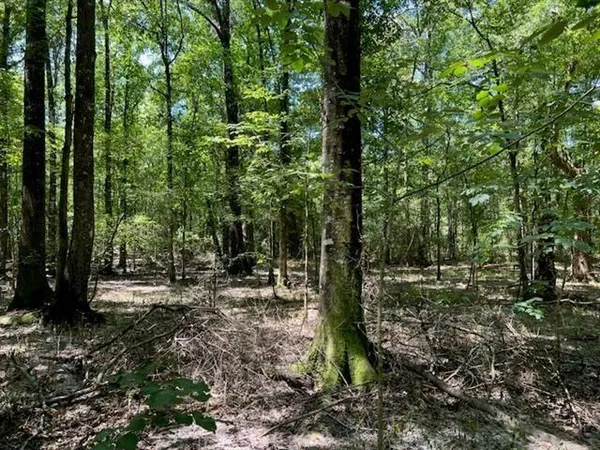 $69,950 | 0 Donnie Price Road, Deville, LA 71328