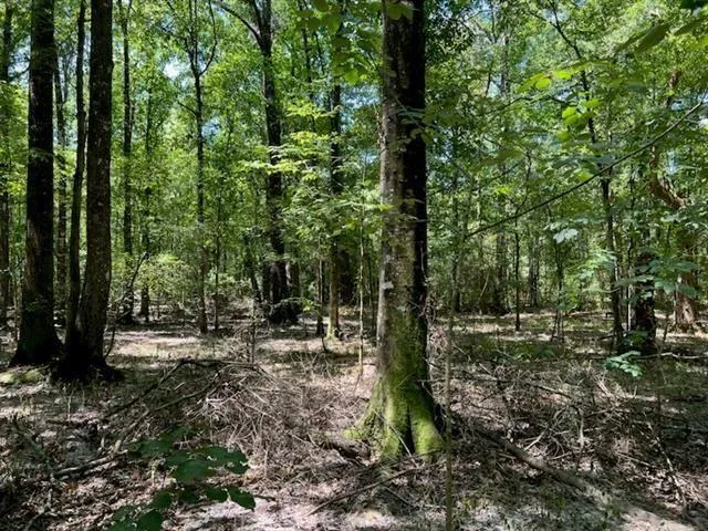 $69,950 | 0 Donnie Price Road, Deville, LA 71328