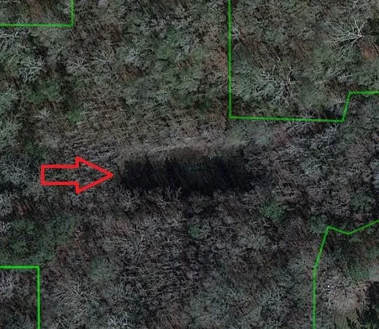 $69,950 | 0 Donnie Price Road, Deville, LA 71328