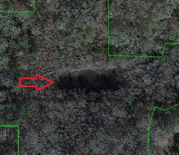 0 Donnie Price Road Deville, LA 71328 - Photo 7 of 8