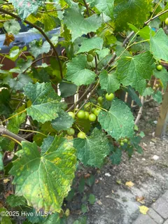 $580,000 | 116 Stonehead Court, Wilmington, NC 28411