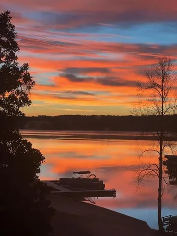 a view of a yard with flower plants