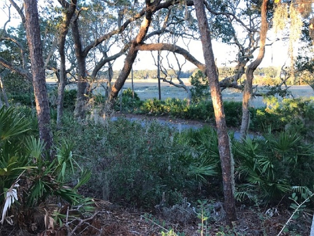 16 Marsh Point Road Fernandina Beach, FL 32034 - Photo 1 of 7 Gallery Image 1