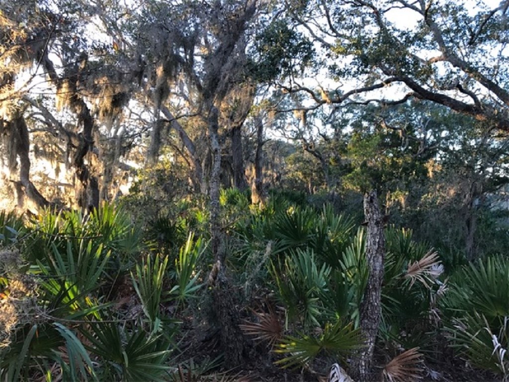 16 Marsh Point Road Fernandina Beach, FL 32034 - Photo 5 of 7 Gallery Image 5