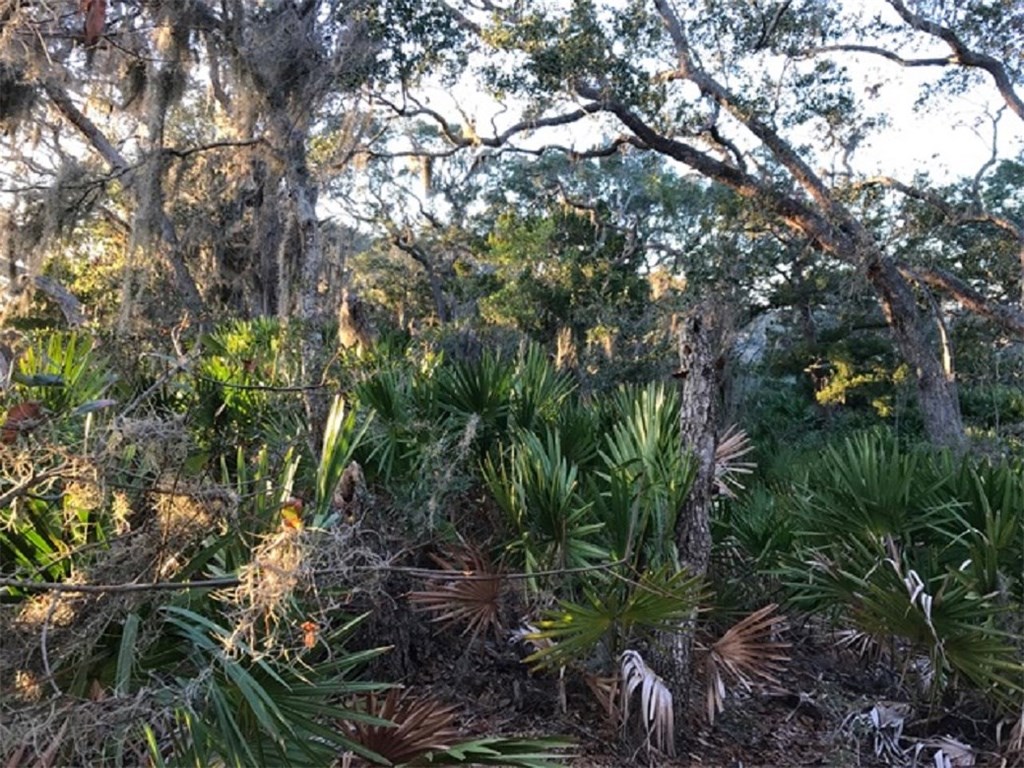 16 Marsh Point Road Fernandina Beach, FL 32034 - Photo 6 of 7 Gallery Image 6