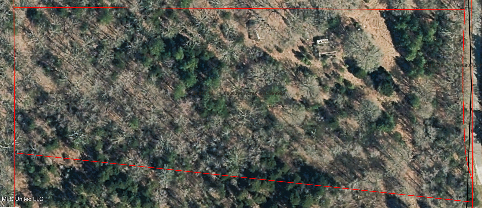 7443 Tate Marshall Road Coldwater, MS 38618 - Photo 1 of 20 Arial tatemarshall 9.12ac