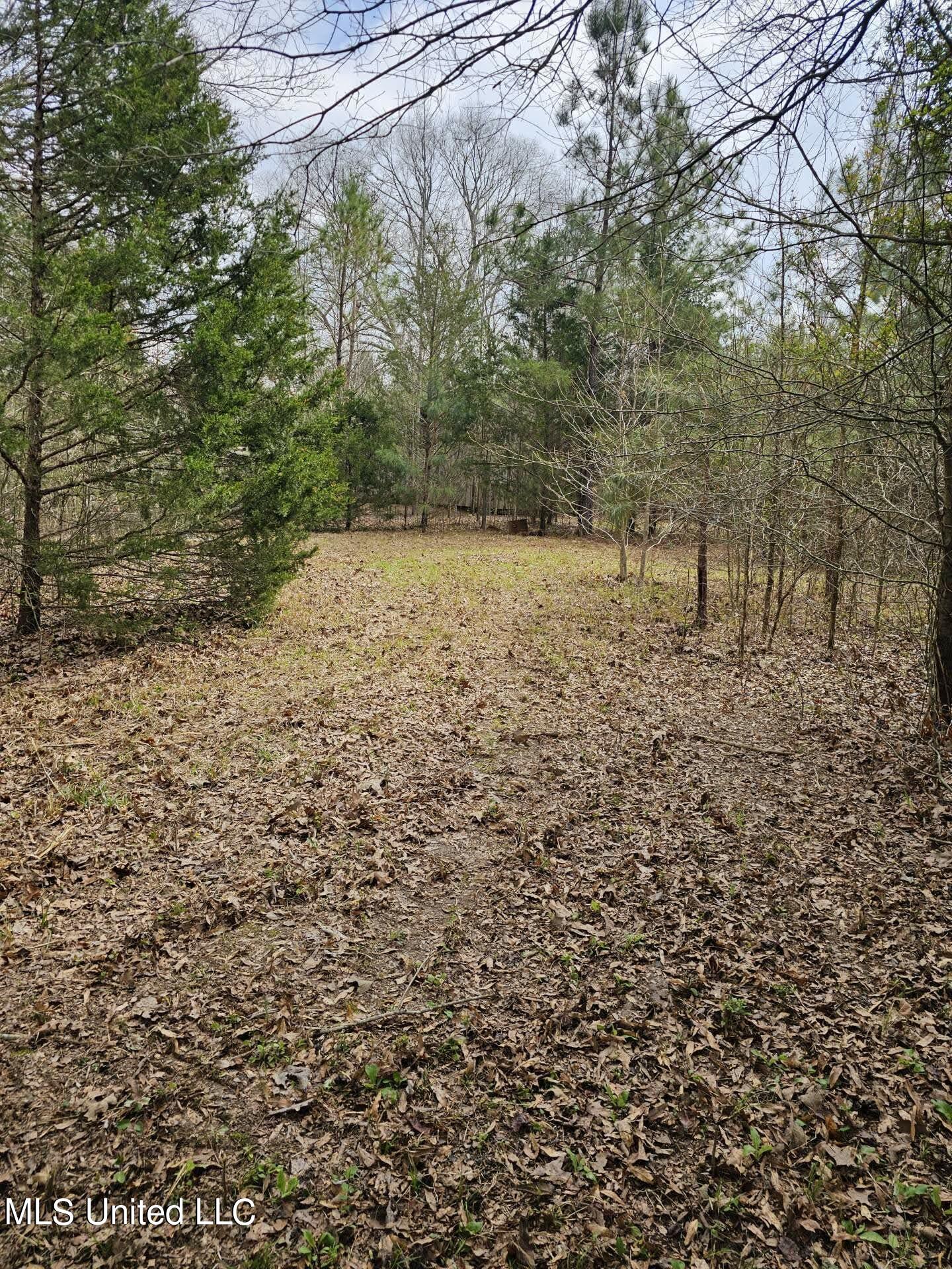 7443 Tate Marshall Road Coldwater, MS 38618 - Photo 12 of 20 31062001541161