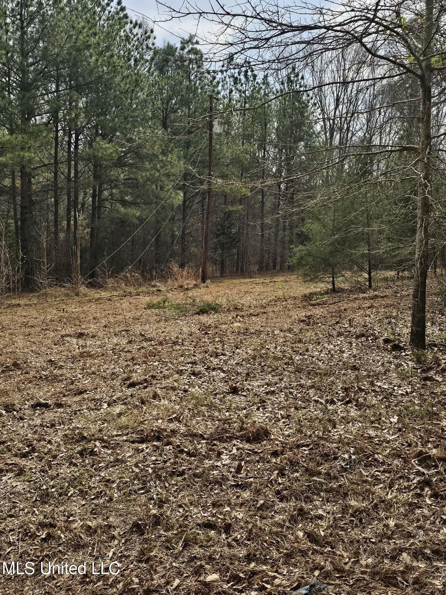 7443 Tate Marshall Road Coldwater, MS 38618 - Photo 13 of 20 31062001610011