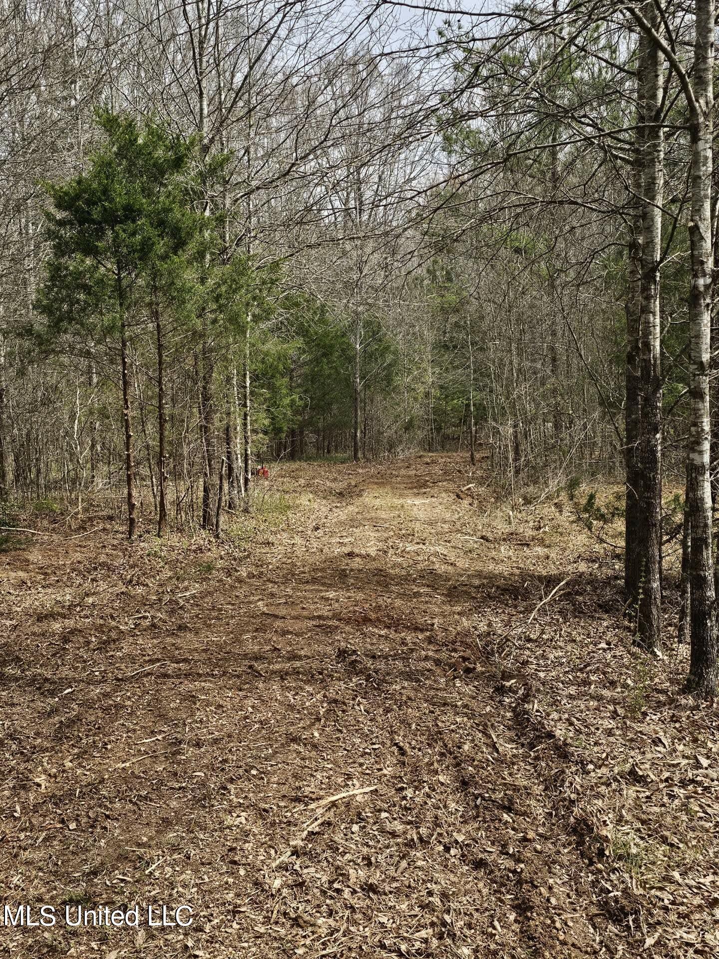 7443 Tate Marshall Road Coldwater, MS 38618 - Photo 14 of 20 31062001624451