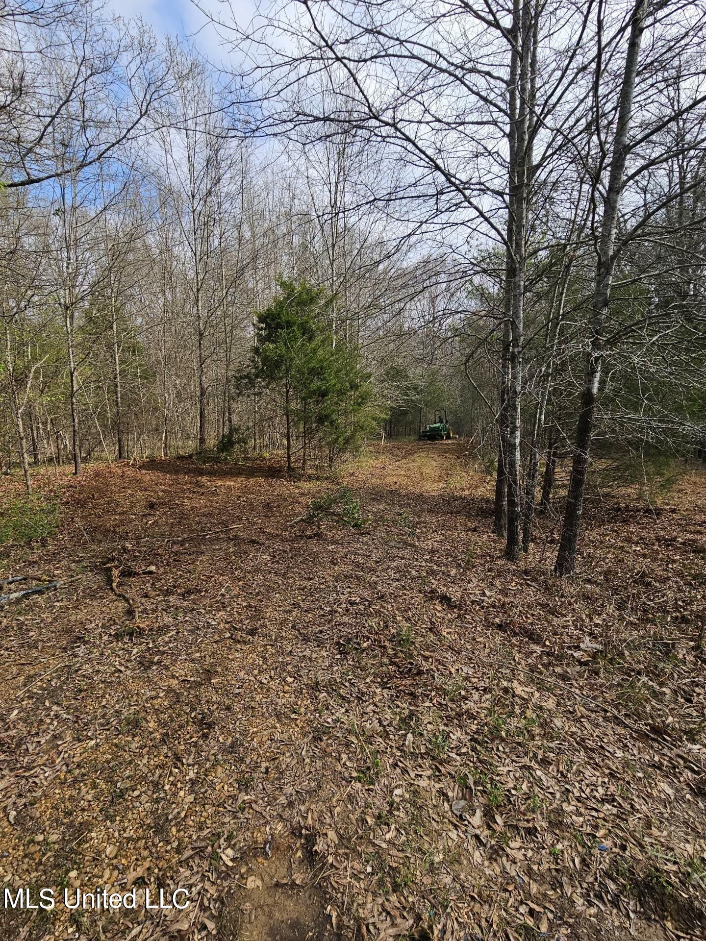 7443 Tate Marshall Road Coldwater, MS 38618 - Photo 15 of 20 31062001670342