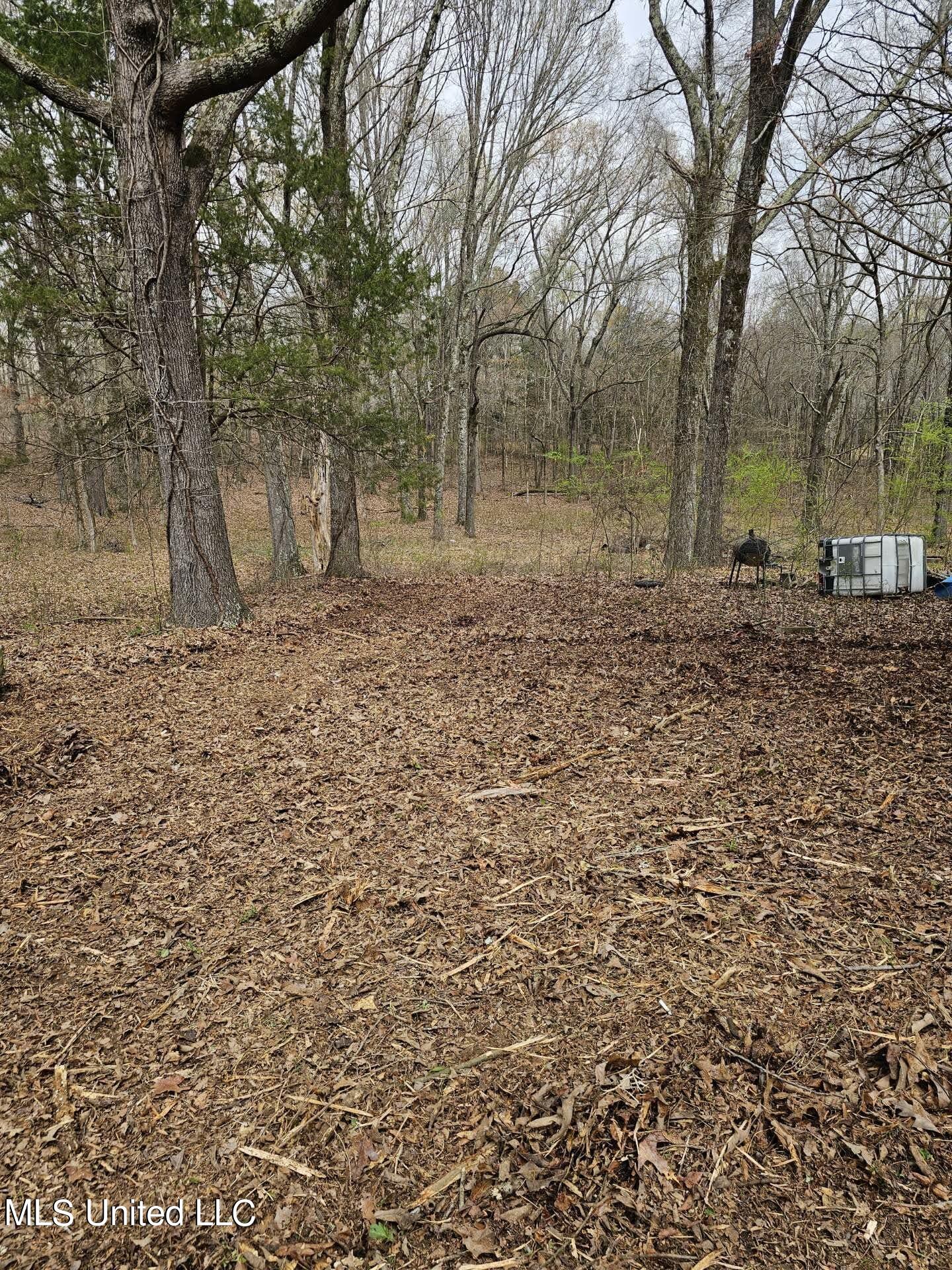 7443 Tate Marshall Road Coldwater, MS 38618 - Photo 16 of 20 31062001757363
