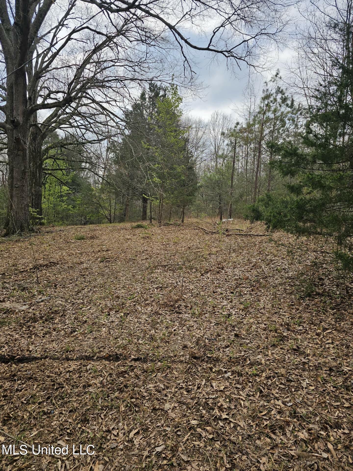7443 Tate Marshall Road Coldwater, MS 38618 - Photo 17 of 20 31062001773026