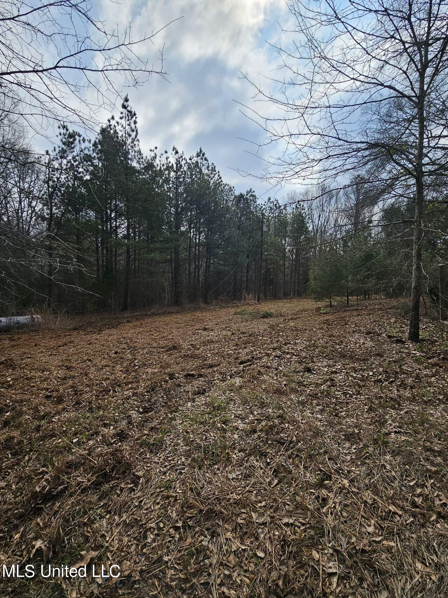 7443 Tate Marshall Road Coldwater, MS 38618 - Photo 18 of 20 31062002010304