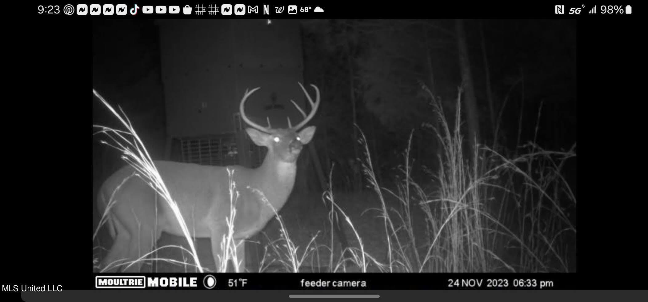 7443 Tate Marshall Road Coldwater, MS 38618 - Photo 19 of 20 Buck