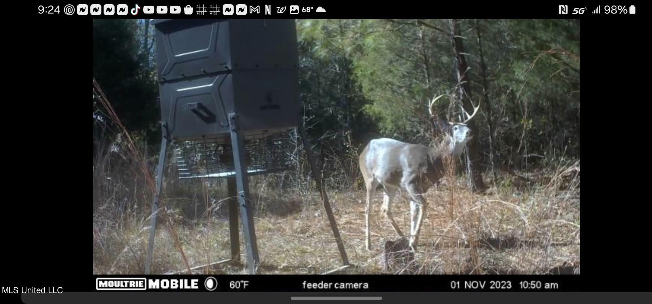7443 Tate Marshall Road Coldwater, MS 38618 - Photo 20 of 20 Buck