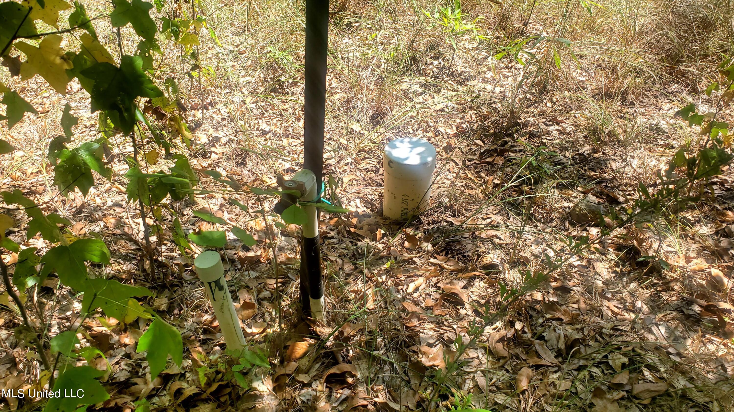 7443 Tate Marshall Road Coldwater, MS 38618 - Photo 5 of 20 Well