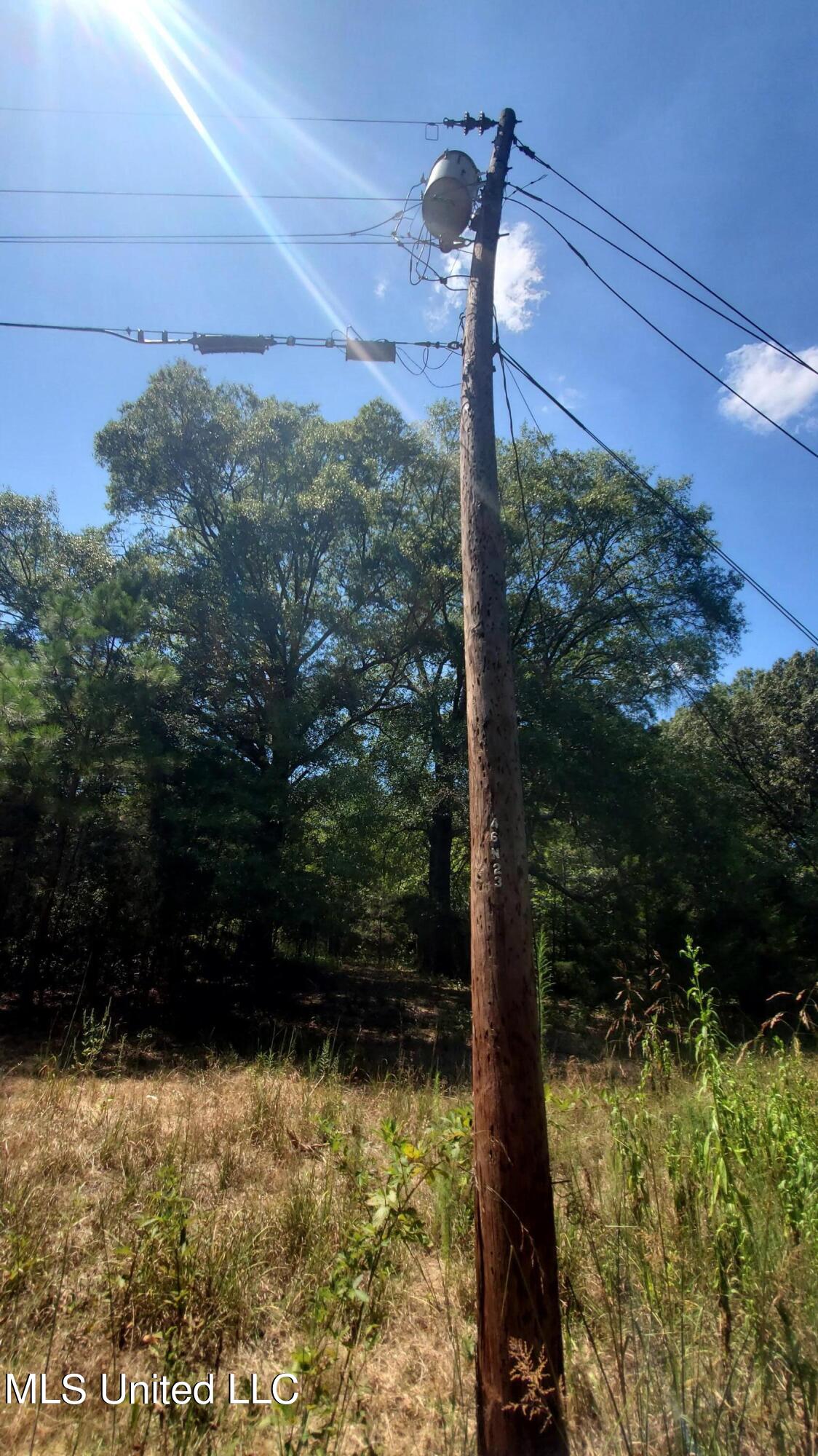 7443 Tate Marshall Road Coldwater, MS 38618 - Photo 10 of 20 20240826_132225