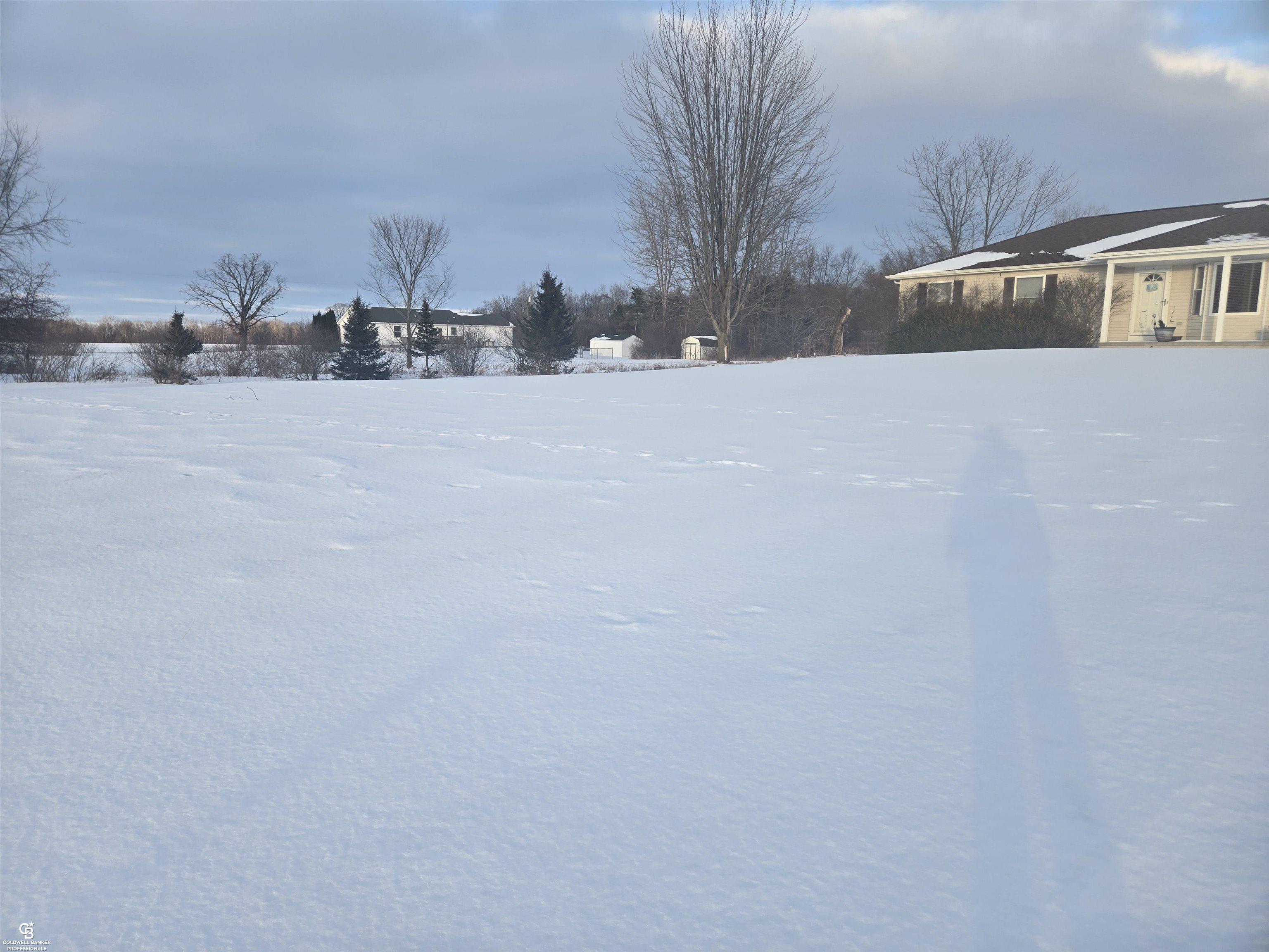 6458 Owens Road Yale, MI 48097 - Photo 22 of 27 Front Yard