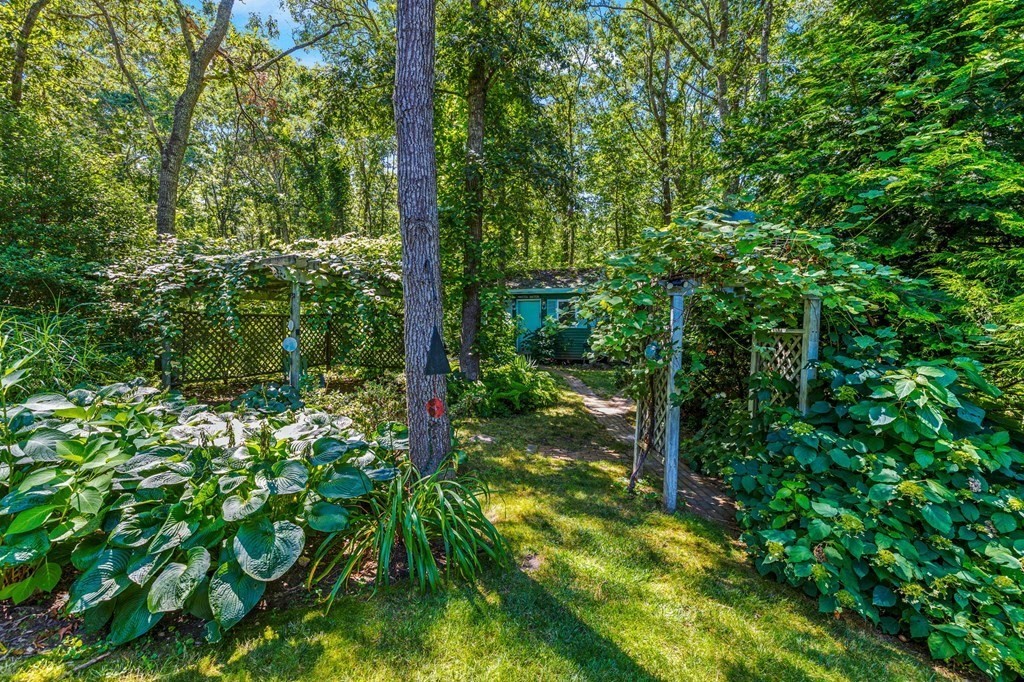 28 Crowell Road Bourne, MA 02562 - Photo 35 of 42 a view of forest