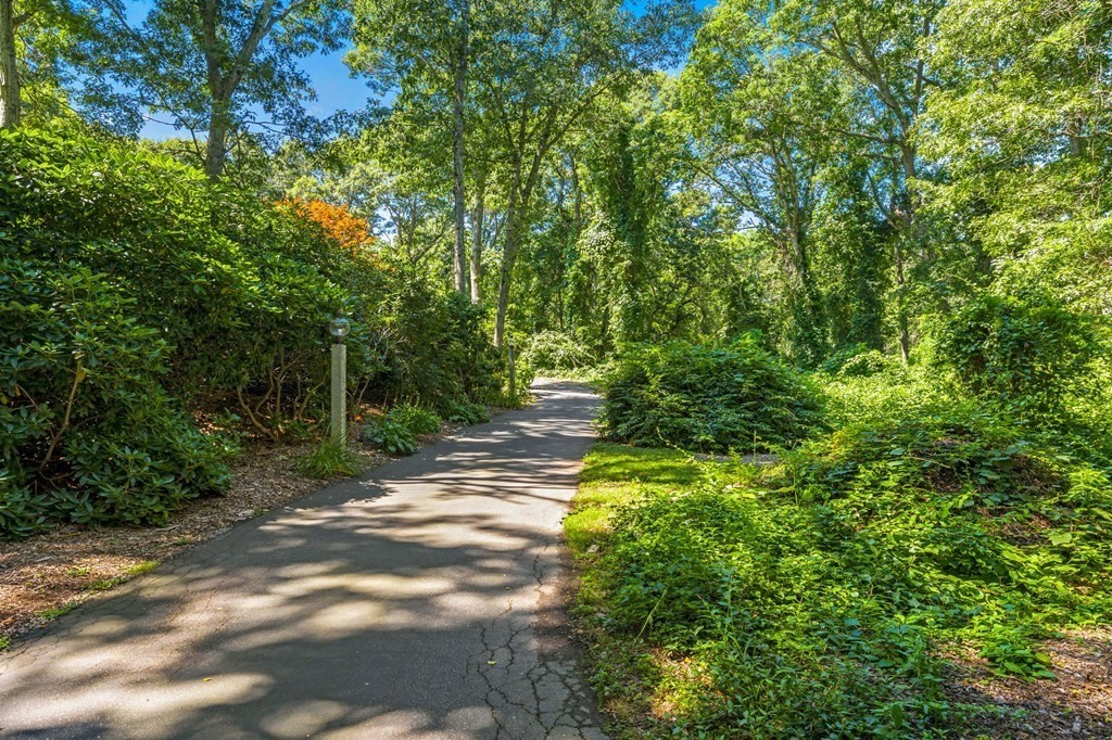 28 Crowell Road Bourne, MA 02562 - Photo 36 of 42 a view of a yard with plants and large trees