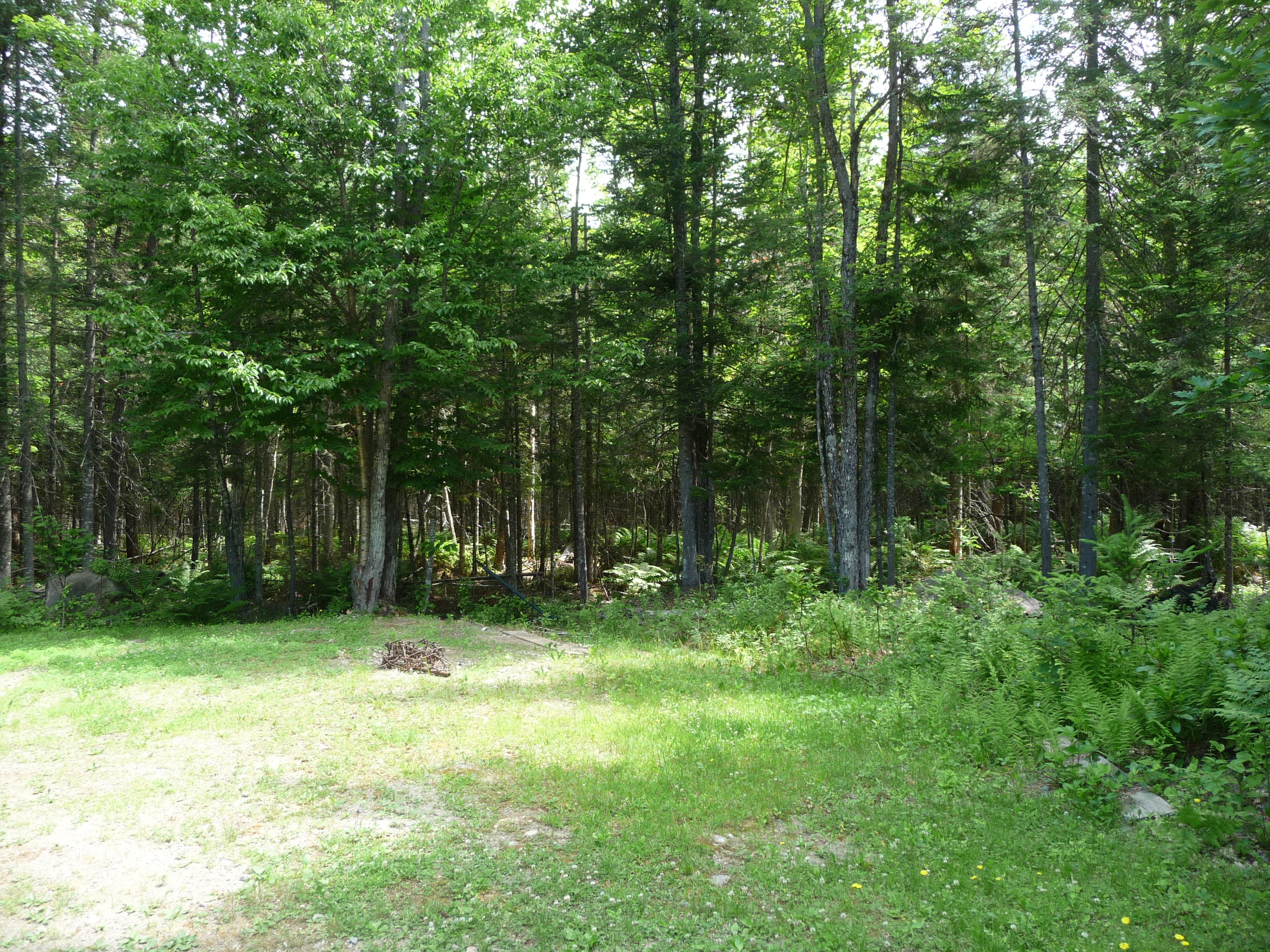 45 Indian Stream Road Kingfield, ME 04947 - Photo 5 of 23 P1110485