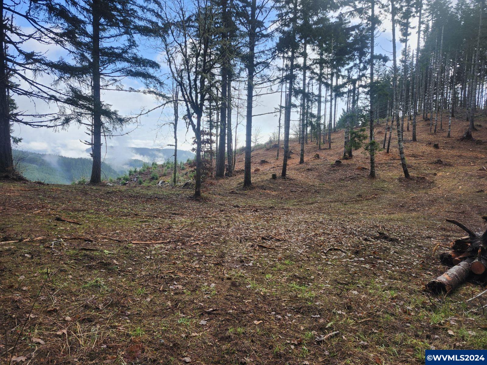 Old Peak Road Philomath, OR 97370 - Photo 1 of 2