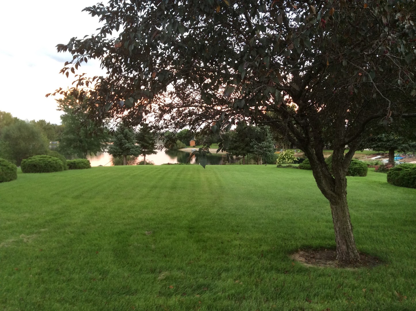 524 San Carlos Road Minooka, IL 60447 - Photo 2 of 6 a view of yard with green space