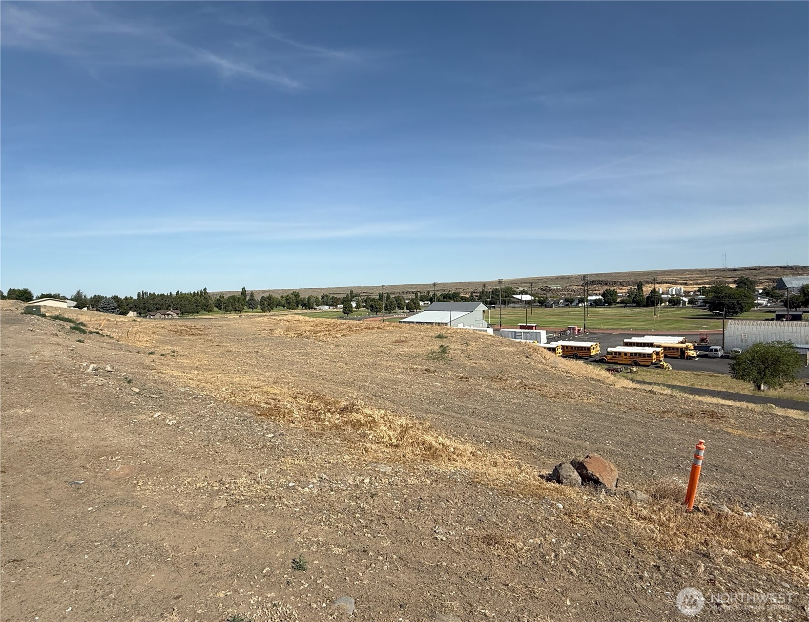 an ocean beach with large trees