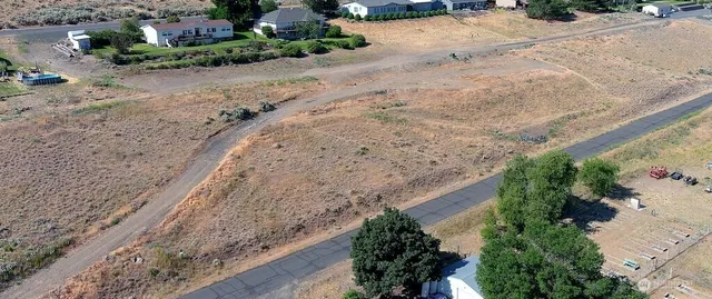 a view of a backyard with plants