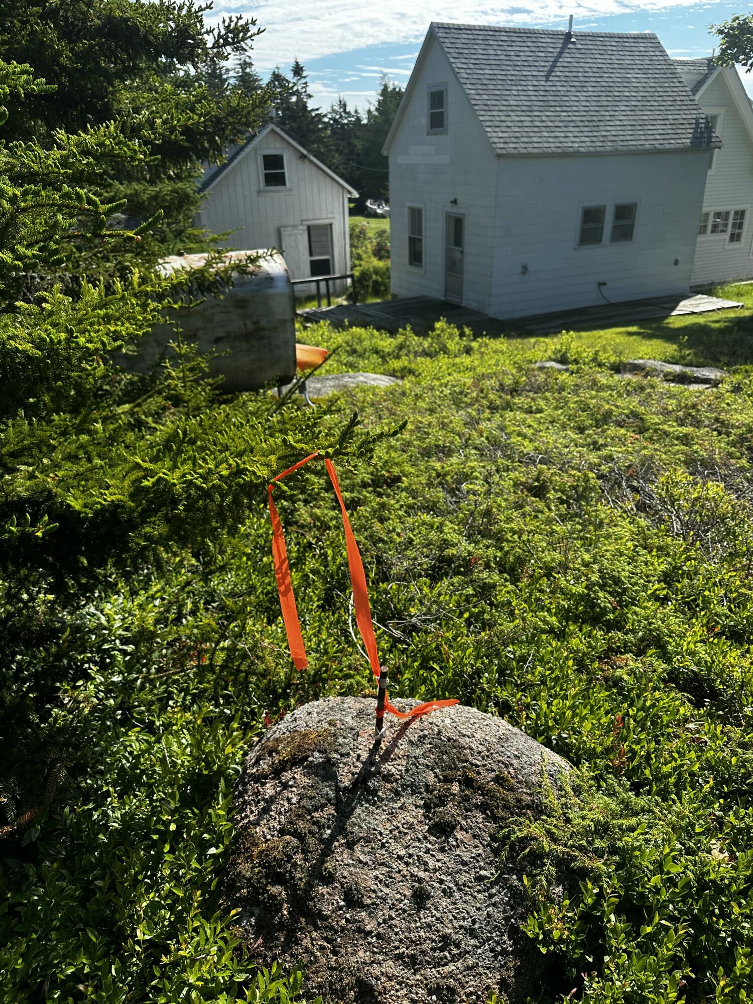 234 Harbor Road Swans Island, ME 04685 - Photo 21 of 22 IMG_8691