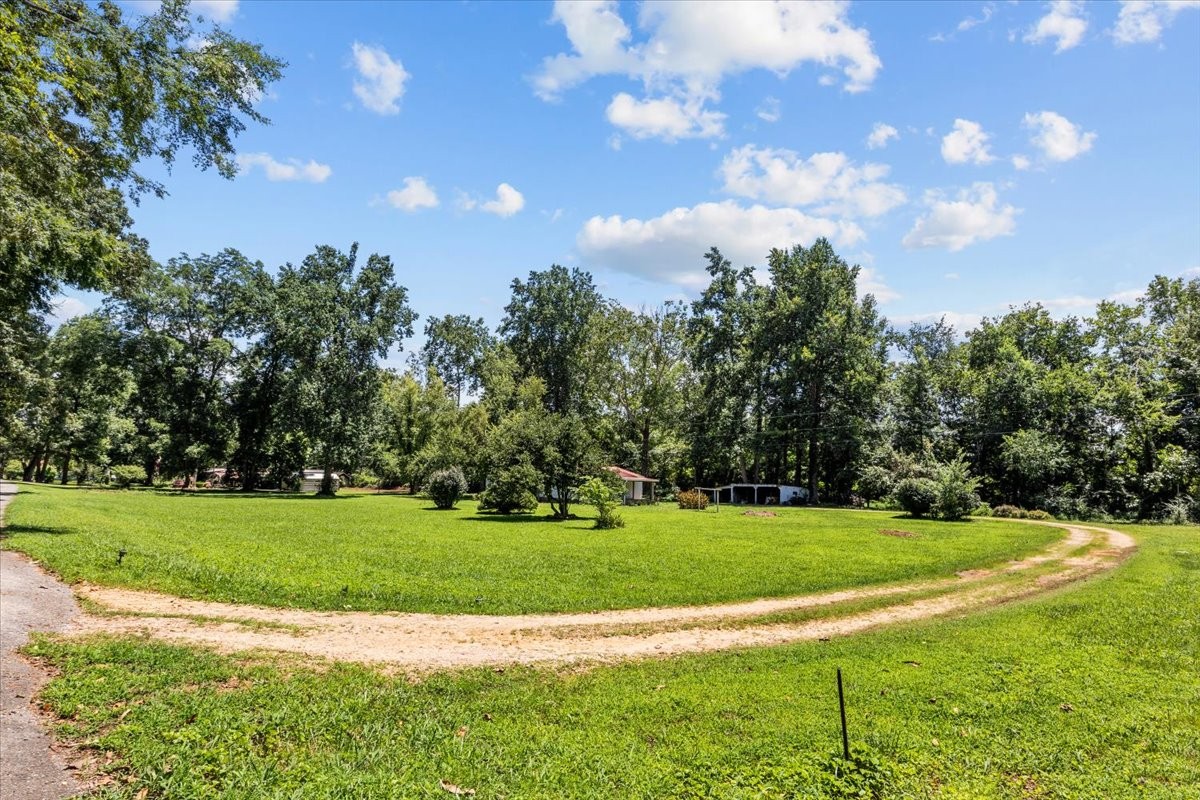 1227 Brushy Road Centerville, TN 37033 - Photo 42 of 60
