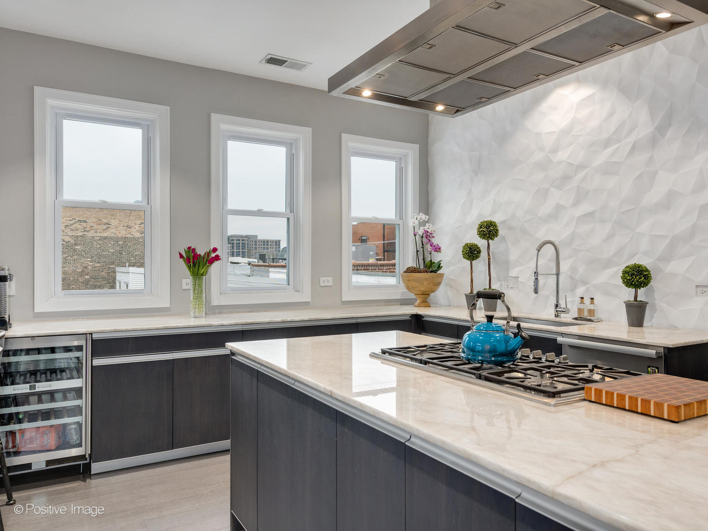 1846 North Mohawk Street, Unit PH Chicago, IL 60614 - Photo 15 of 37 a kitchen with a sink and a potted plant