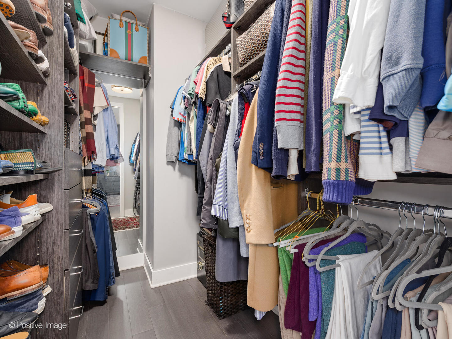 1846 North Mohawk Street, Unit PH Chicago, IL 60614 - Photo 23 of 37 a view of walk in closet with clothes and shoes