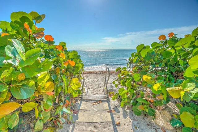 a white vase with flowers