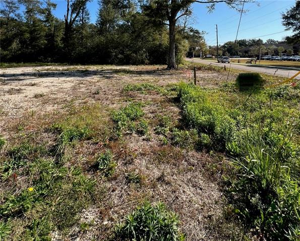 16137 East Minnesota Park Road Hammond, LA 70403 - Photo 11 of 19