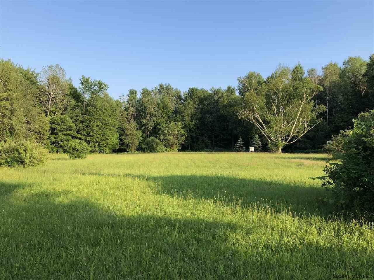 0 Lakeview Road Broadalbin, NY 12025 - Photo 1 of 9 Photo 1
