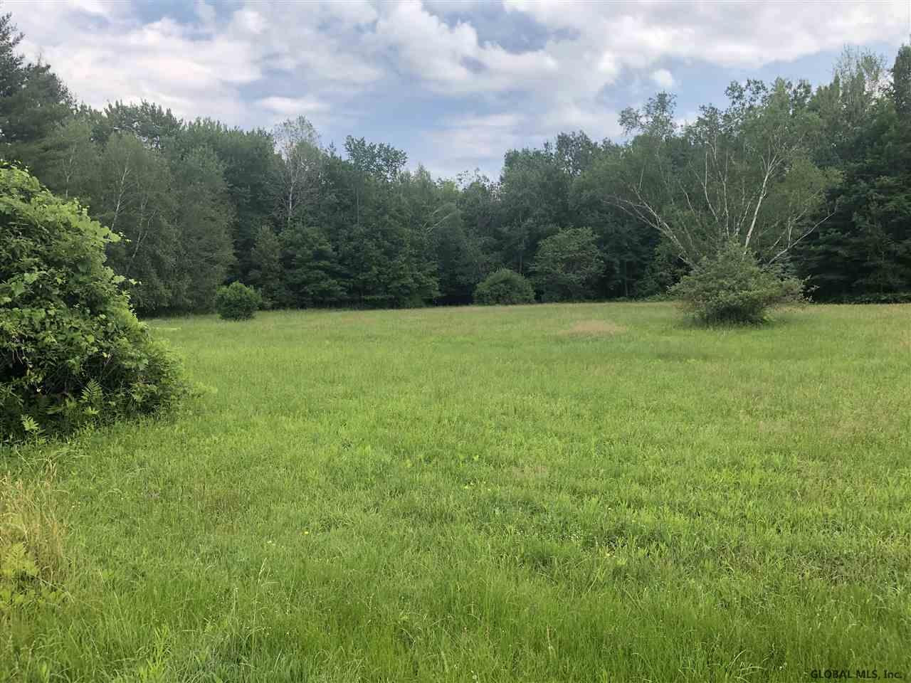 0 Lakeview Road Broadalbin, NY 12025 - Photo 2 of 9 Photo 2