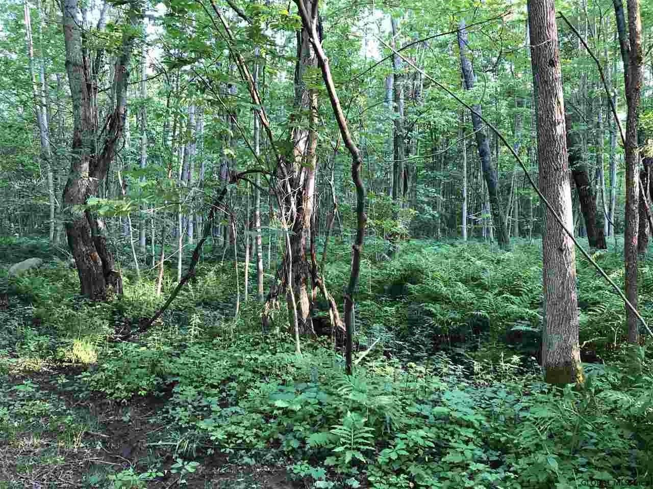 0 Lakeview Road Broadalbin, NY 12025 - Photo 3 of 9 Photo 3