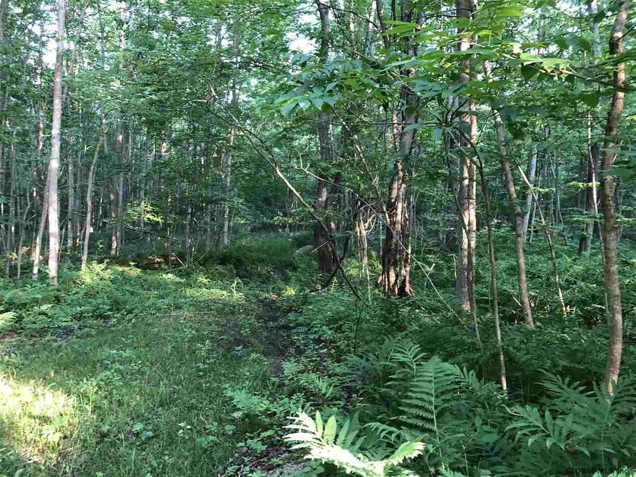 0 Lakeview Road Broadalbin, NY 12025 - Photo 4 of 9 Photo 4