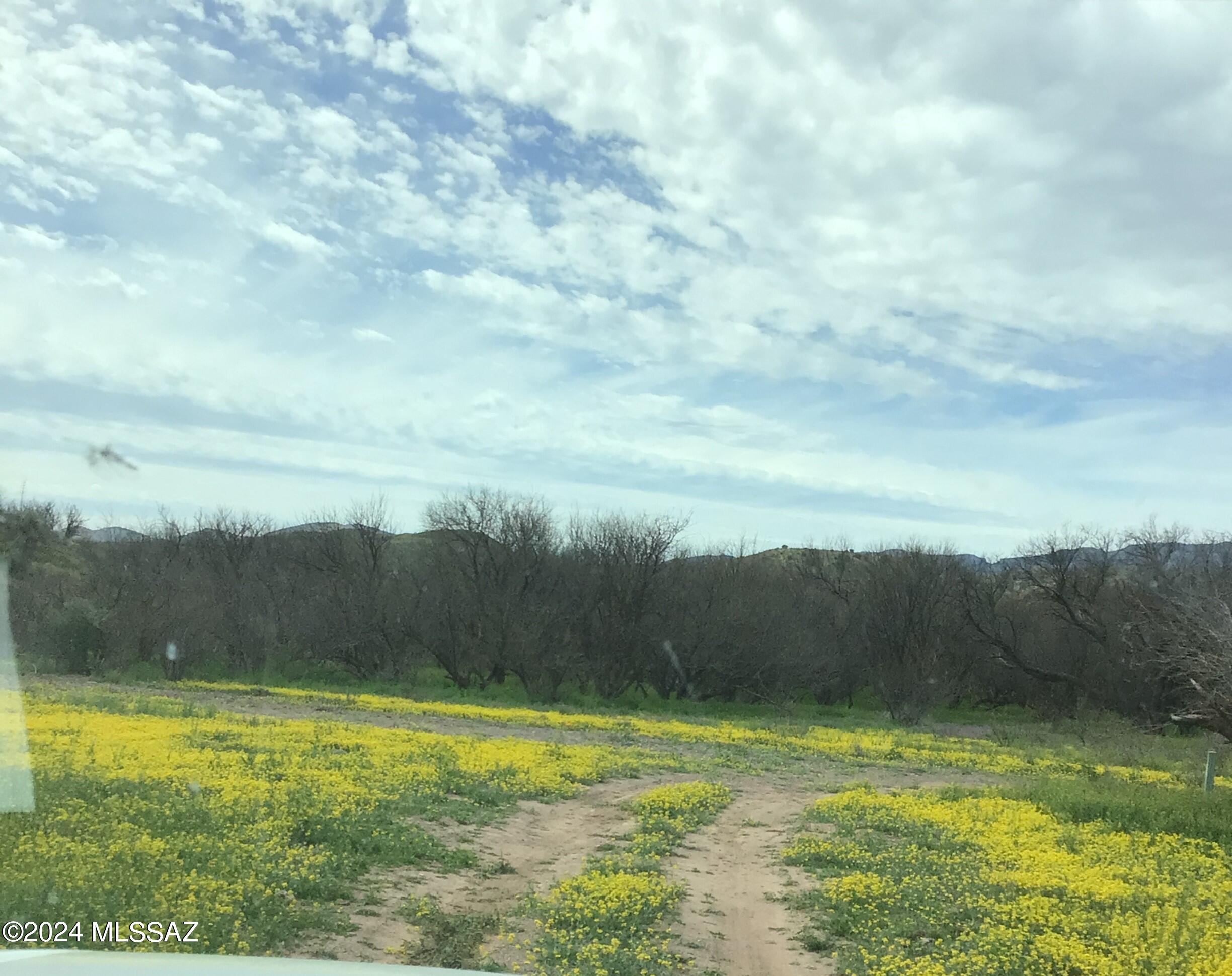 36.01-ac West Pronghorn Rdg Road, Unit 205 Willcox, AZ 85643 - Photo 23 of 37