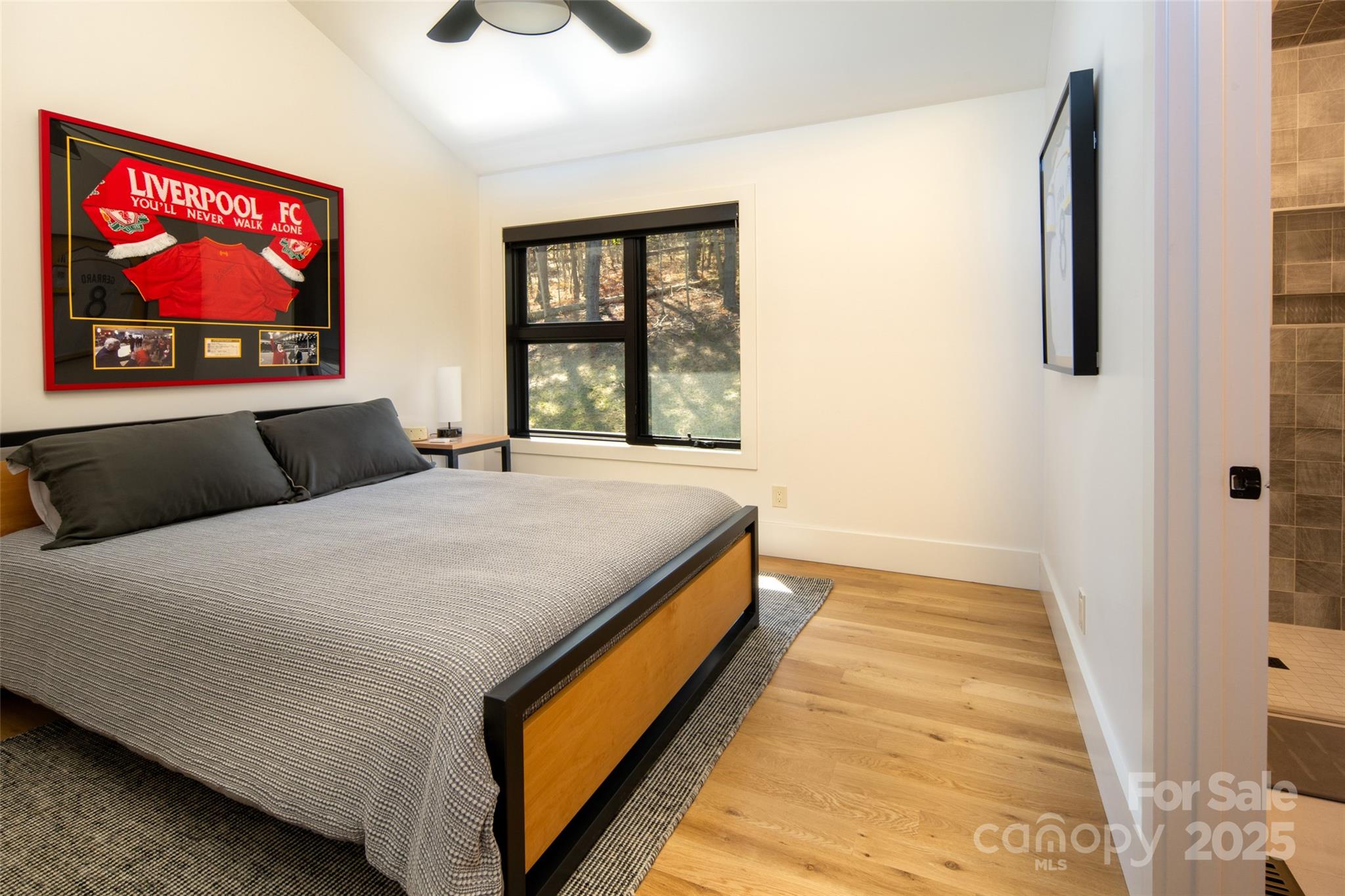 42 Spring Cove Road Asheville, NC 28804 - Photo 26 of 43 a bedroom with a bed and a flat screen tv