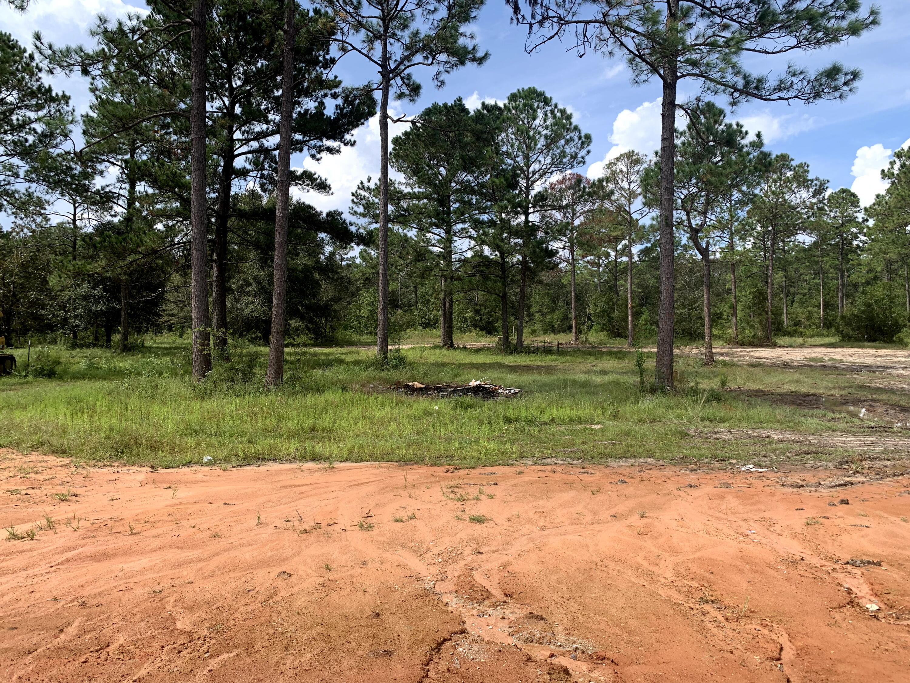17075 Old Joe Moran Road Kiln, MS 39556 - Photo 4 of 25 Backyard