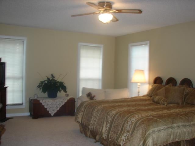 5748 Fall City Road Jasper, AL 35503 - Photo 7 of 9 Gallery Image 7