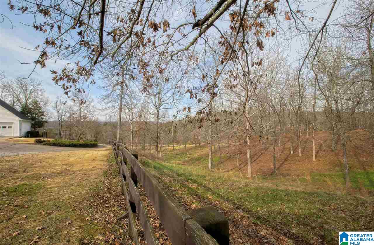 1850 Highway 132 Oneonta, AL 35121 - Photo 15 of 43