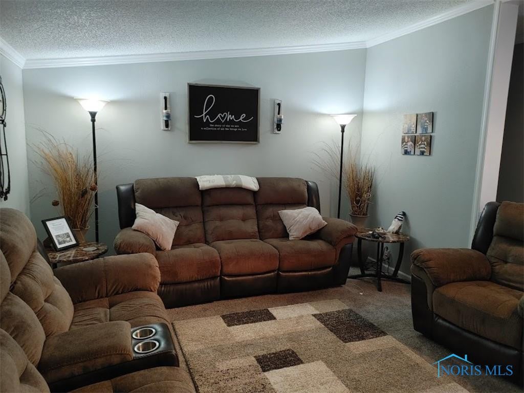 230 Reed Street McClure, OH 43534 - Photo 15 of 50 Gallery Image 15