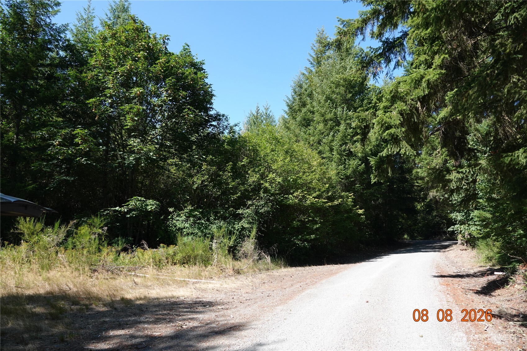 41102 Tanwax Road South Roy, WA 98580 - Photo 18 of 22 Gallery Image 18
