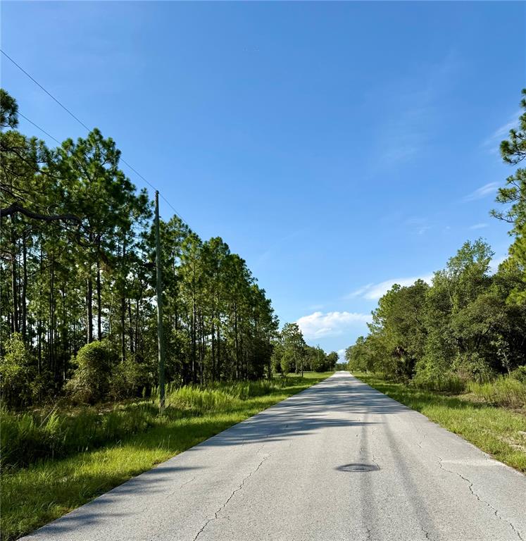 3039 Southwest Viburnum Road Dunnellon, FL 34431 - Photo 15 of 17 Gallery Image 15