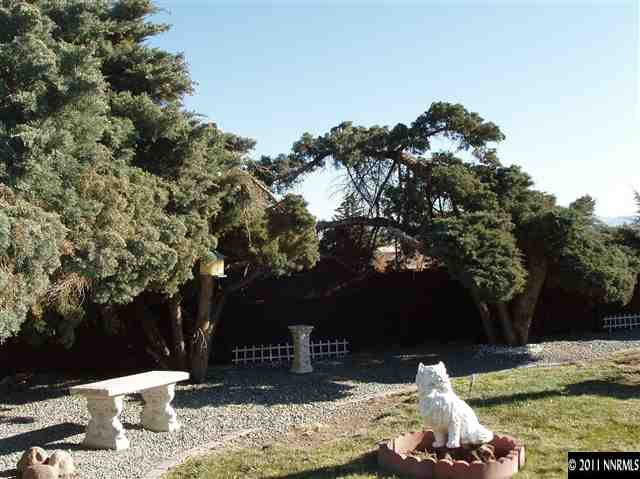 570 Cyma Circle Reno, NV 89503 - Photo 2 of 13 a view of a yard with plants and a tree