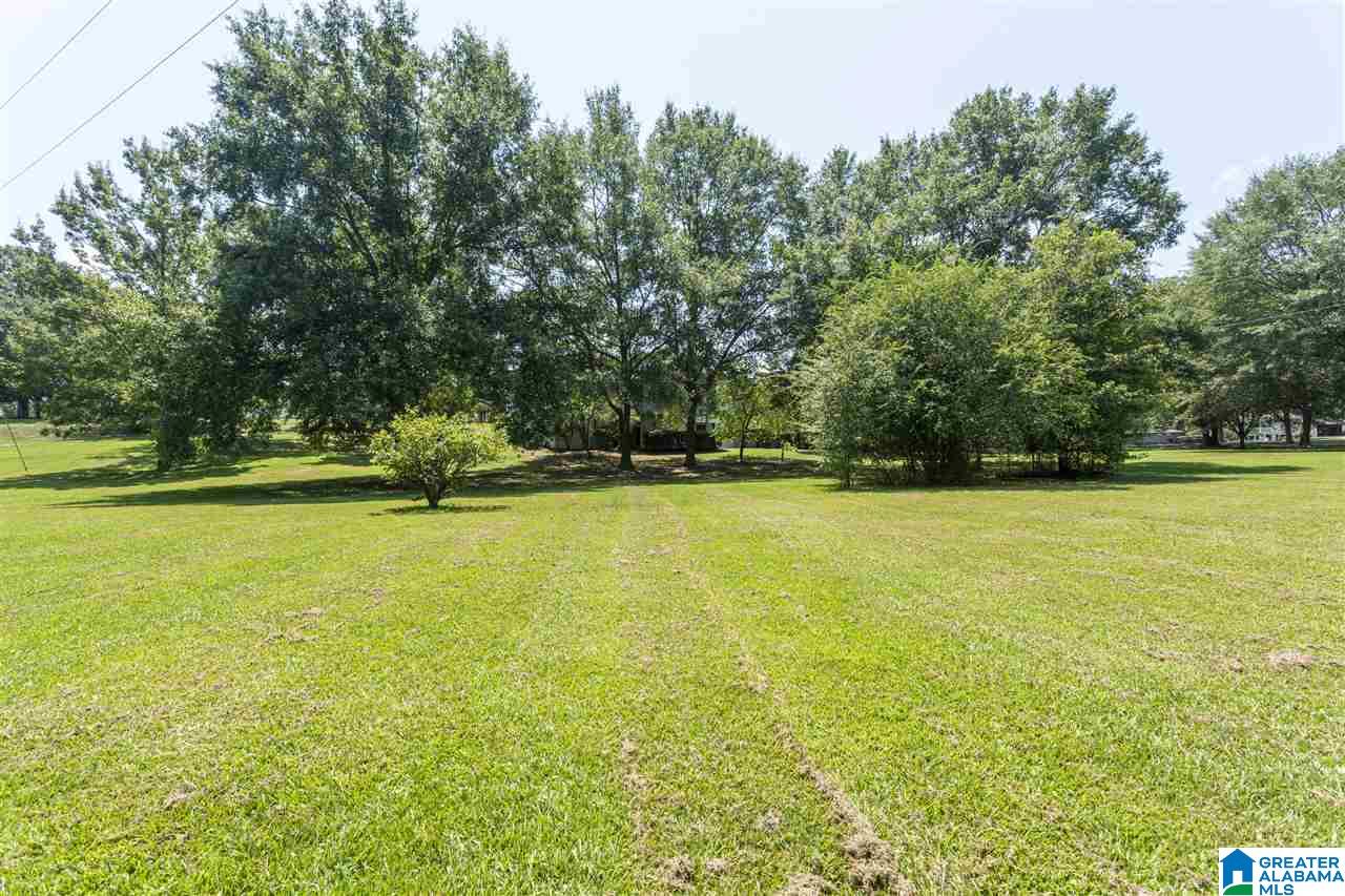 5500 Smith Road Pell City, AL 35128 - Photo 47 of 50