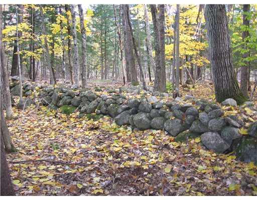 2 Dawes Hill Road Harrison, ME 04040 - Photo 2 of 8 Other. Old stonewalls on property.